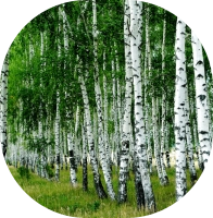 Kedvezményes Csomagok Kép