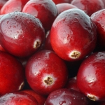 cranberries-1.jpg
