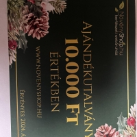 10.000 Ft értékű Ajándékutalvány